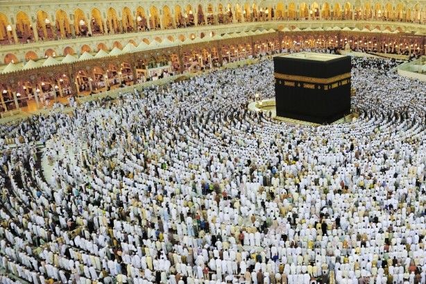 More than half of the pilgrims who died during the Hajj