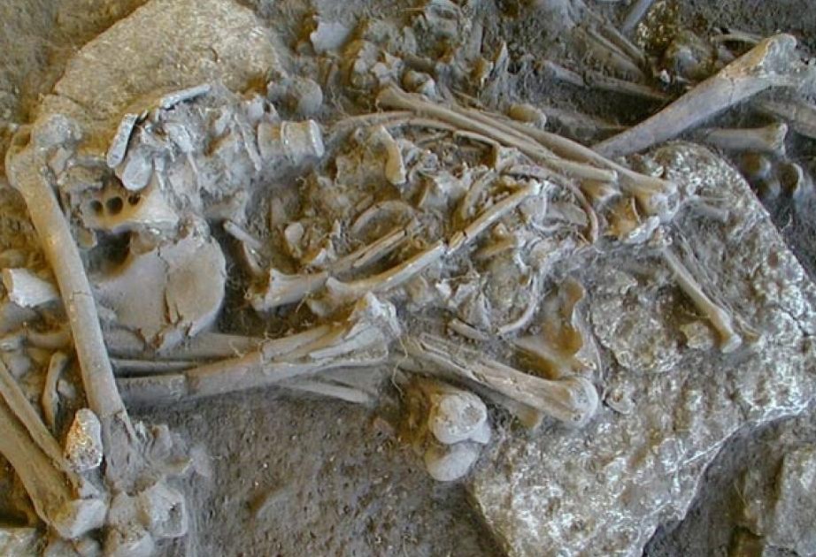 Genome evidence points to plague in Stone Age European population crash