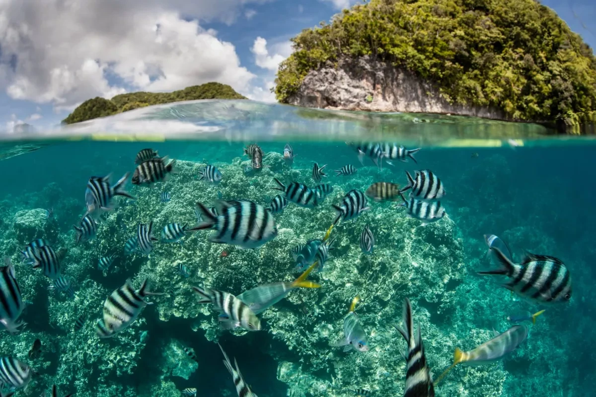 How discovery of oxygen-producing underwater lumps could advance search for life beyond Earth