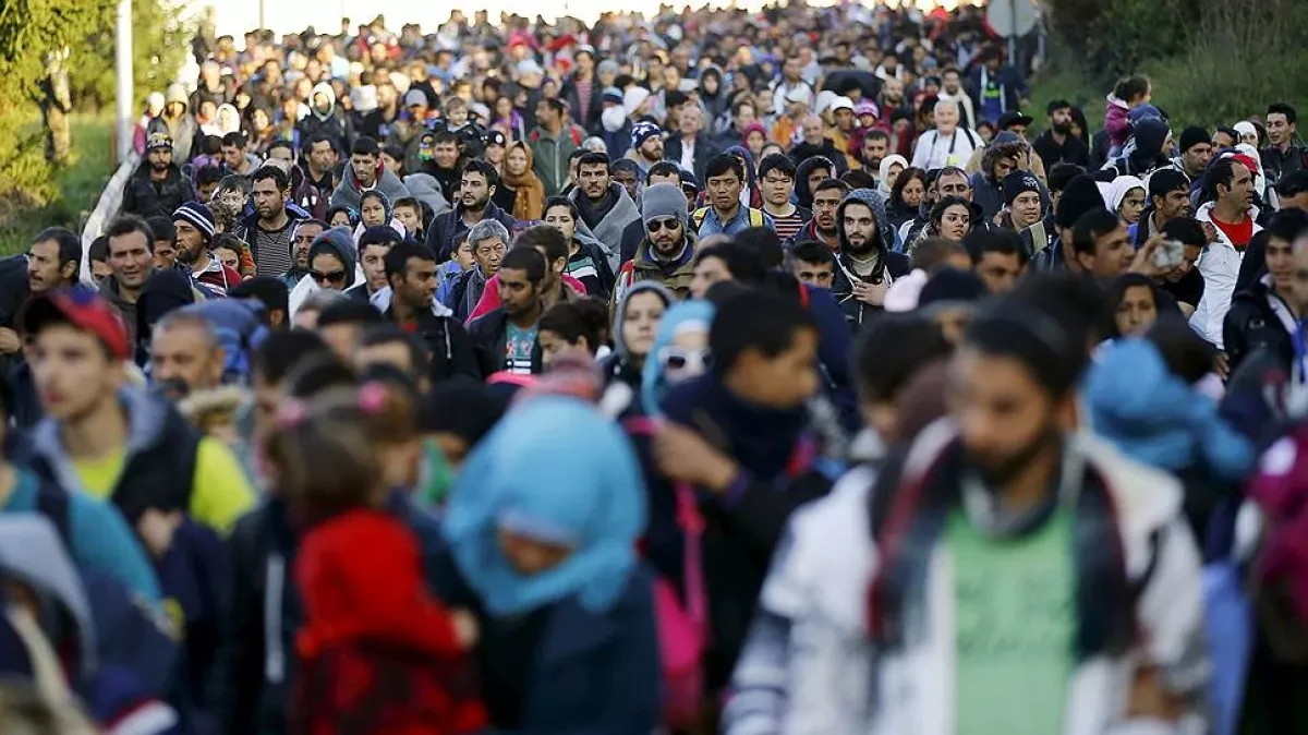 Germany sees 55% drop in asylum applications in October