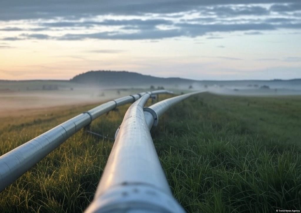 Russian Gazprom reports increase in gas supplies to Uzbekistan