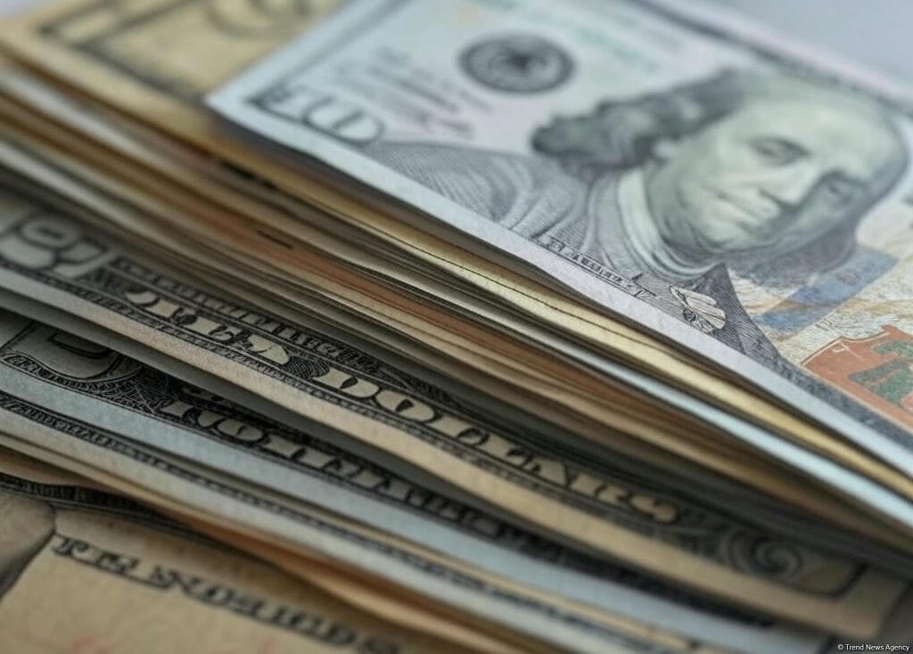 Azerbaijan triples investments in German economy for 9M2025