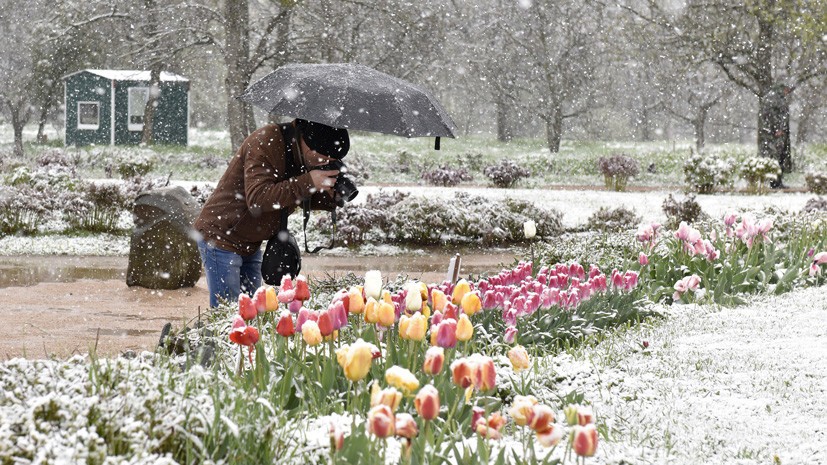 Orange weather alert issued in Moscow - Photo
