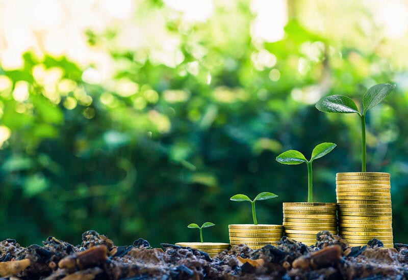 Uzbekistan makes manufacturing and energy its investment priority for 2025