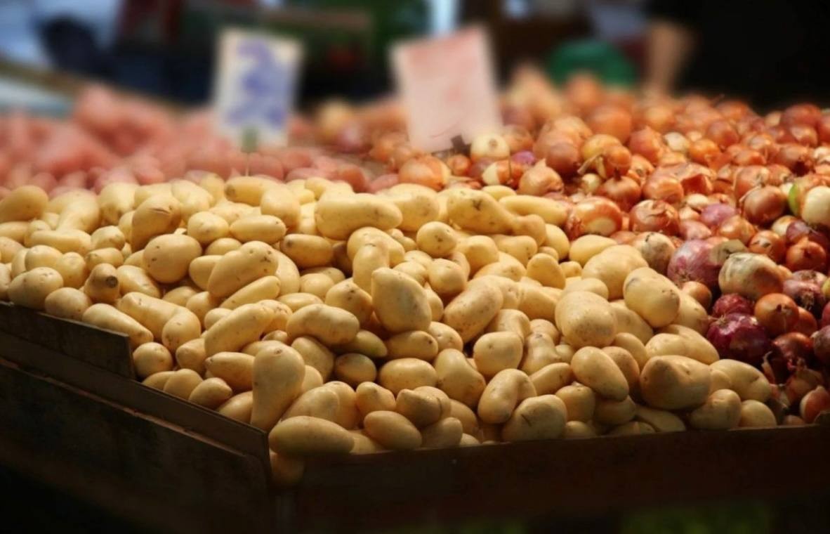 German company announces tender for feasibility study on food systems in Tajikistan