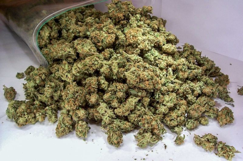 В Баку изъято 29 кг марихуаны