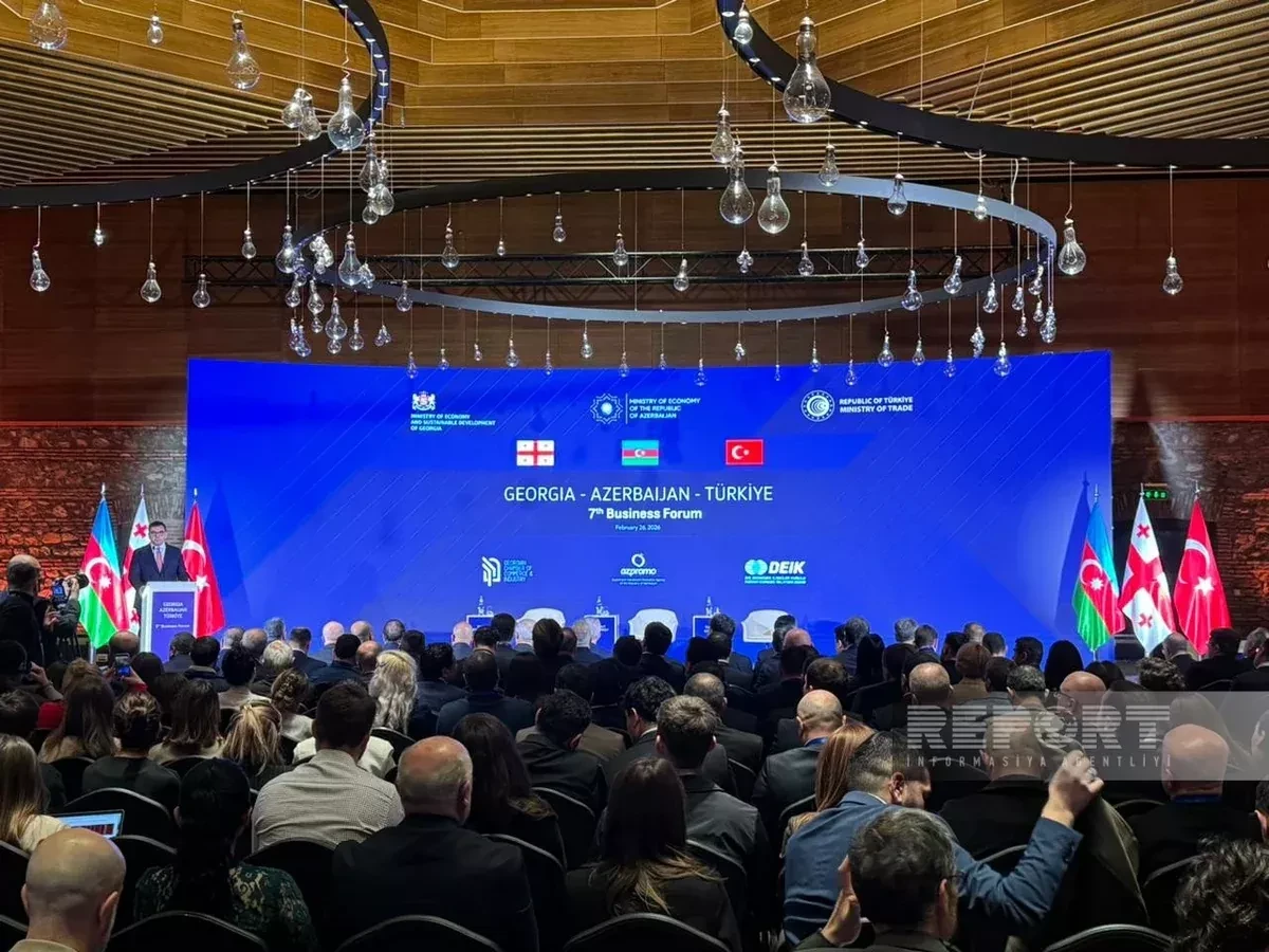 Georgia, Türkiye discuss Baku‑Tbilisi‑Kars rail modernisation