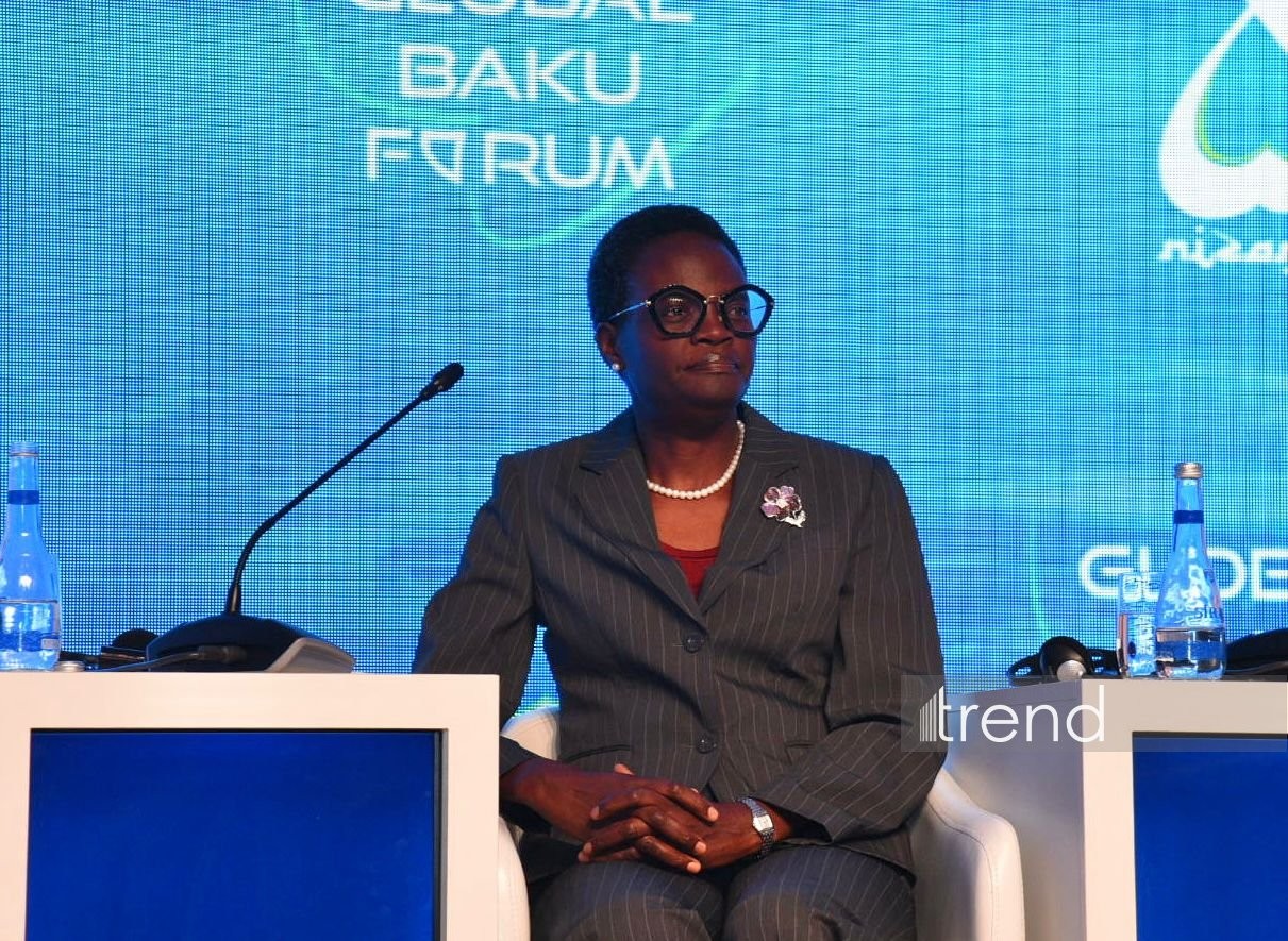 President of IPU urges ensuring transparency in adopting AI-related laws