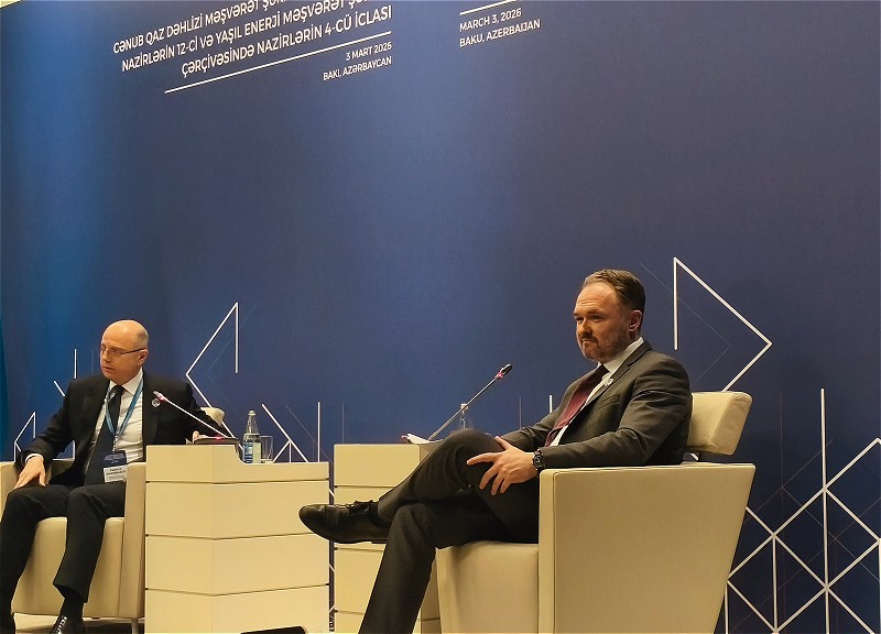 Дан Йоргенсен: В такой период Азербайджан имеет особое значение для Европы