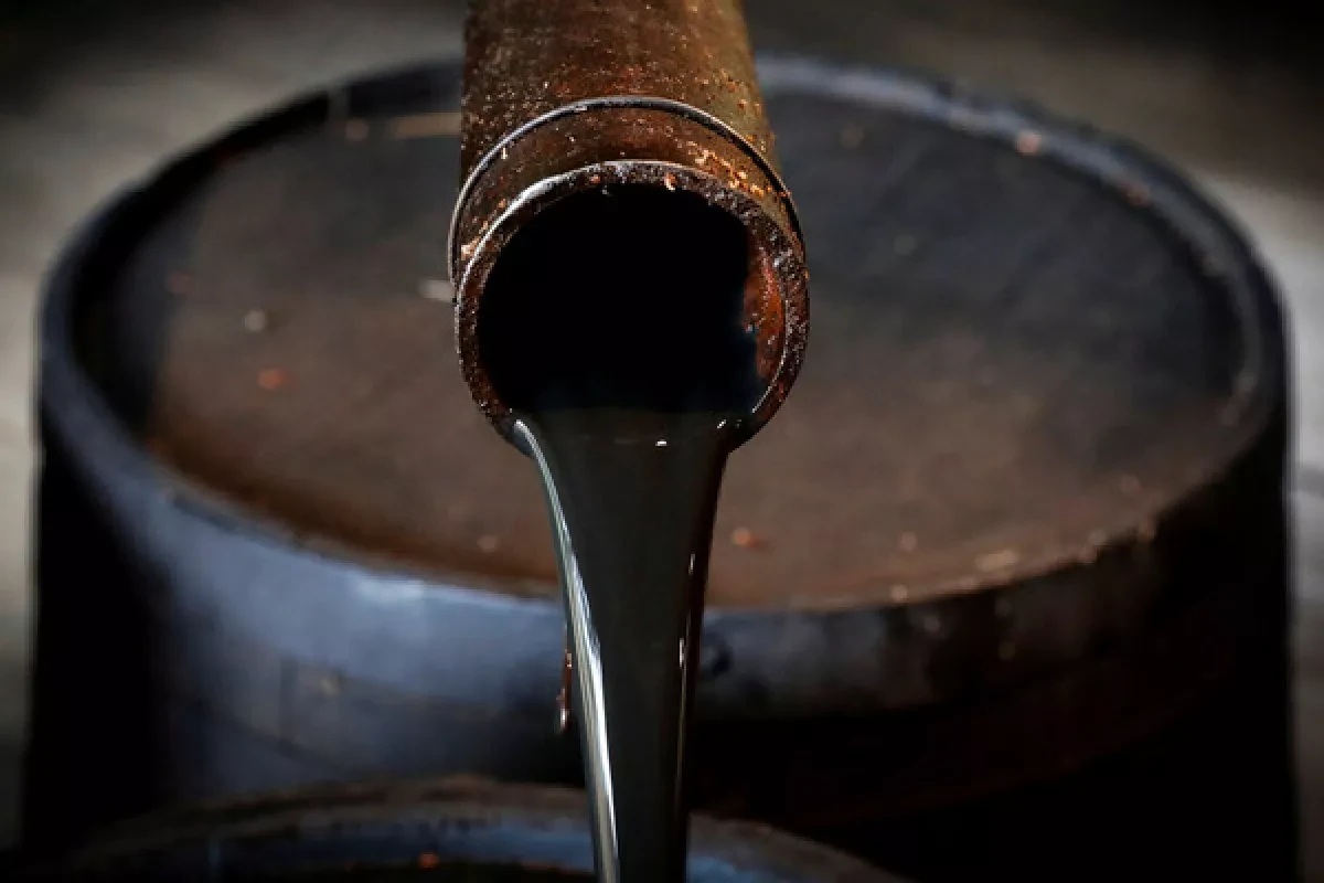Media: Russian Urals crude hits record high in India