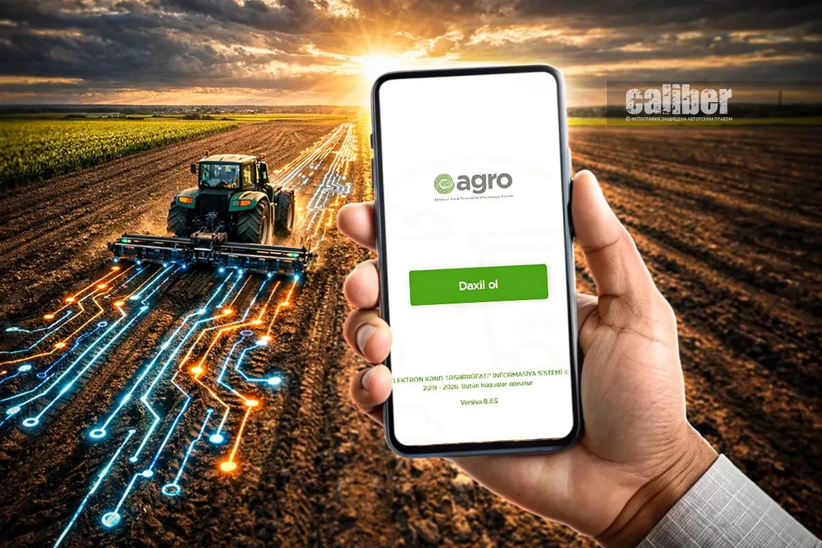AI for Azerbaijan’s agriculture: transforming farms with data Overview by Khazar Akhundov