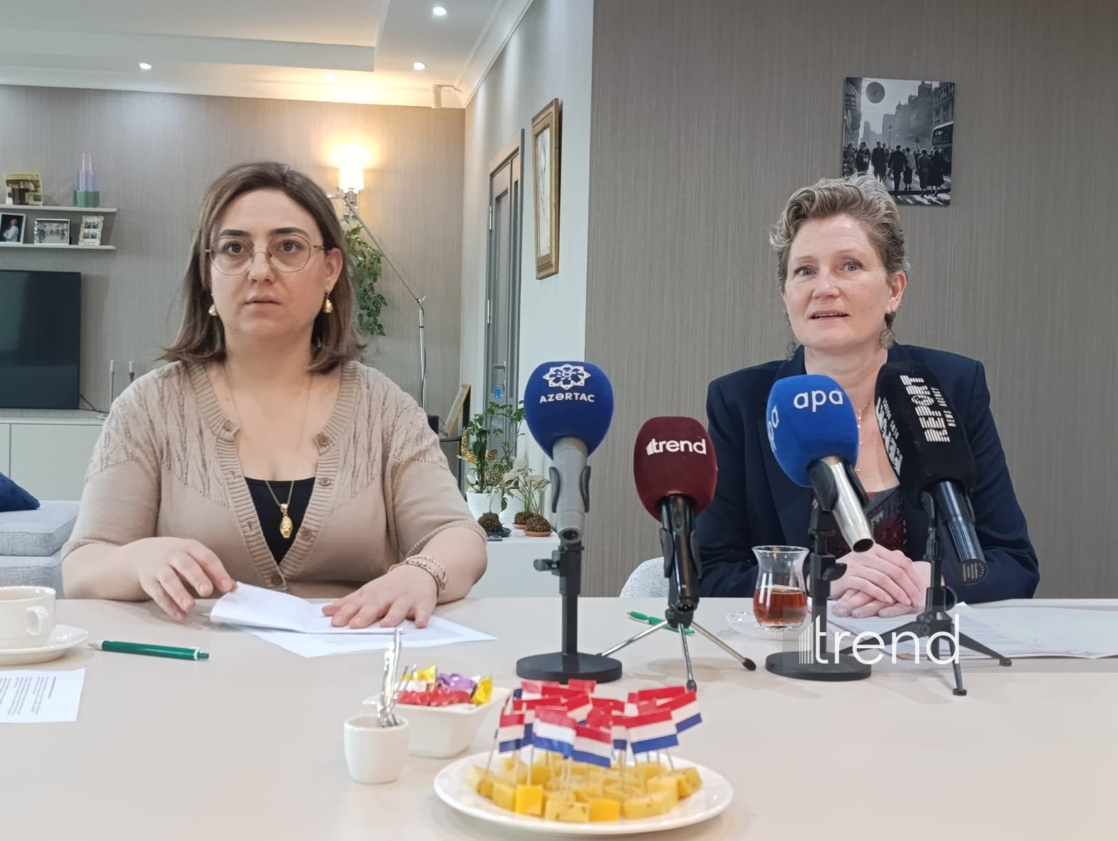 Niderland Azərbaycanla su sektoru üzrə əməkdaşlıq üçün böyük imkanlar görür - Səfir