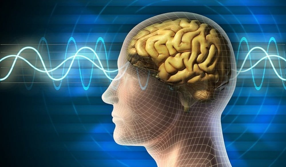 How brain switches between thinking and perceiving?