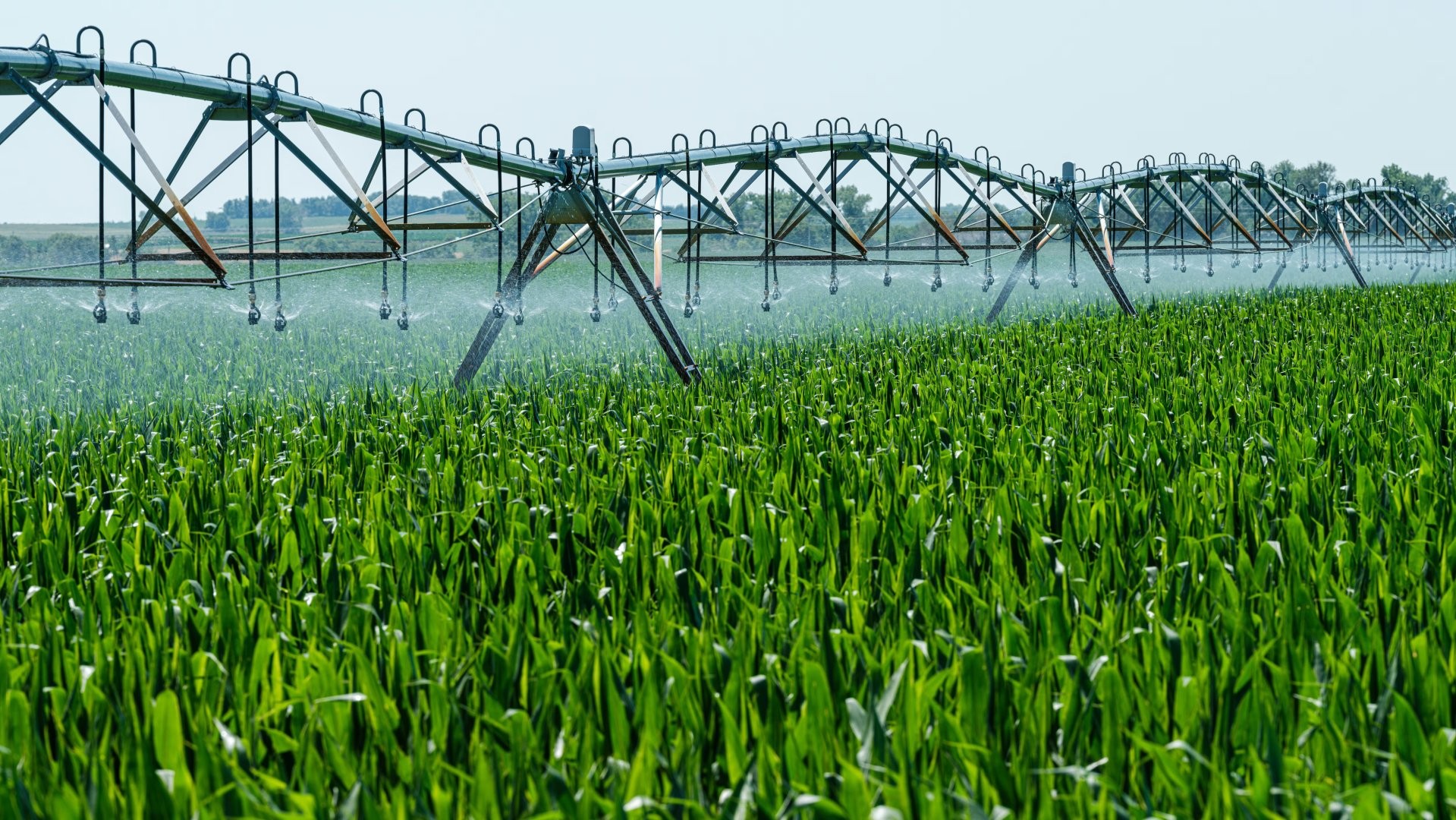 Kyrgyzstan unveils expansive irrigated land area in Nookat district