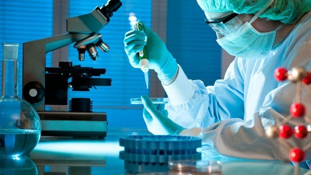 Турецкие учёные приблизились к созданию лекарства от рака