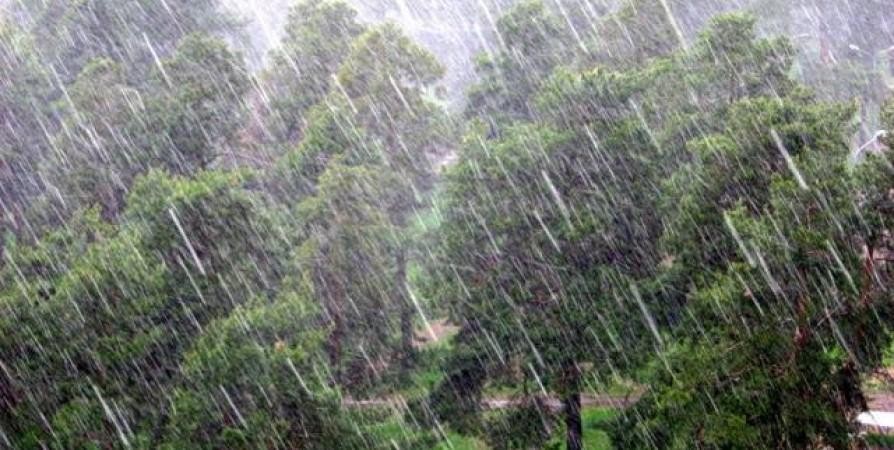 Light rain and cloudy weather expected tomorrow