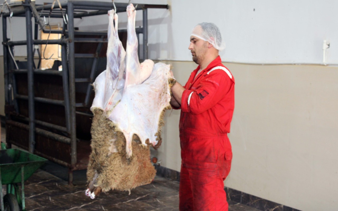 Bu rayonlarda da heyvanların kəsim və satış xidmətləri təşkil olunacaq