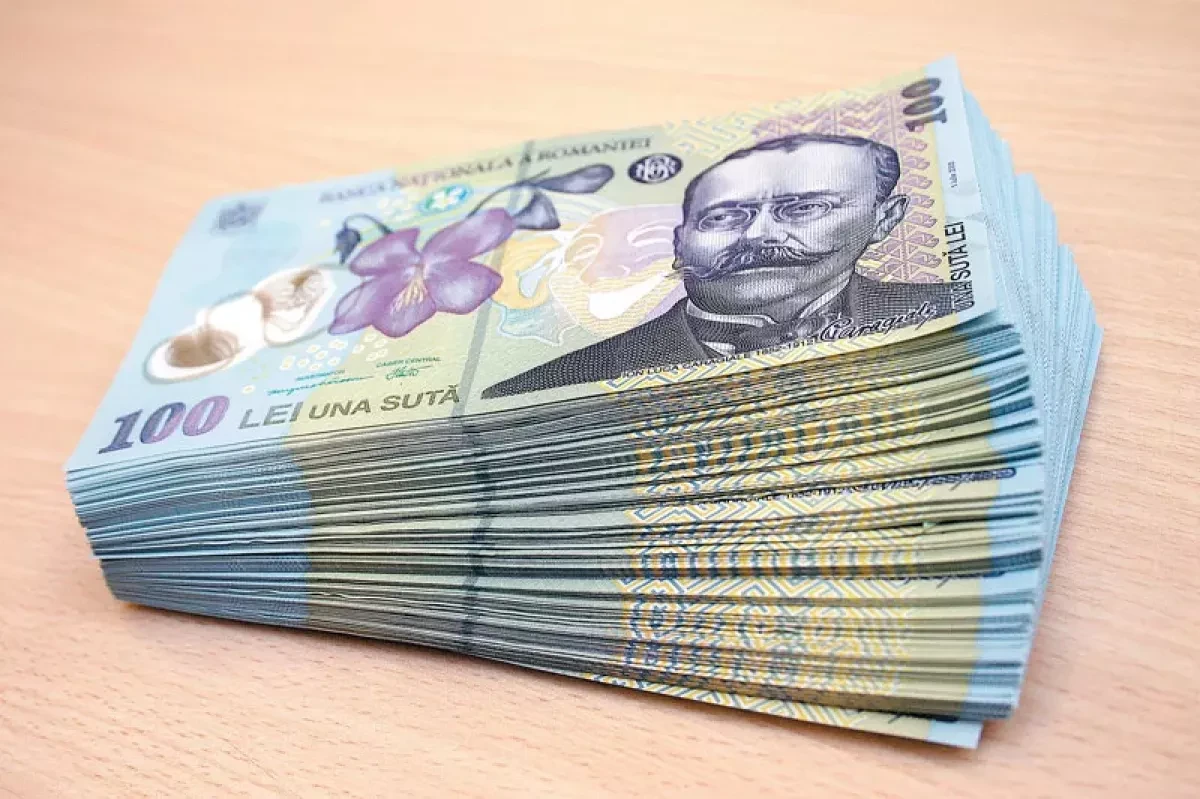 Romanian Leu falls to record low amid political turmoil