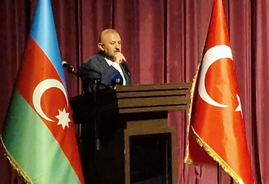 Azerbaijan's Independence Day celebrated in Istanbul
