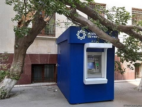 Ветер в Баку повалил 41 дерево