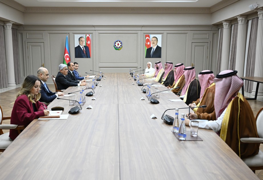 Azerbaijan`s Deputy PM meets with Saudi Arabian delegation