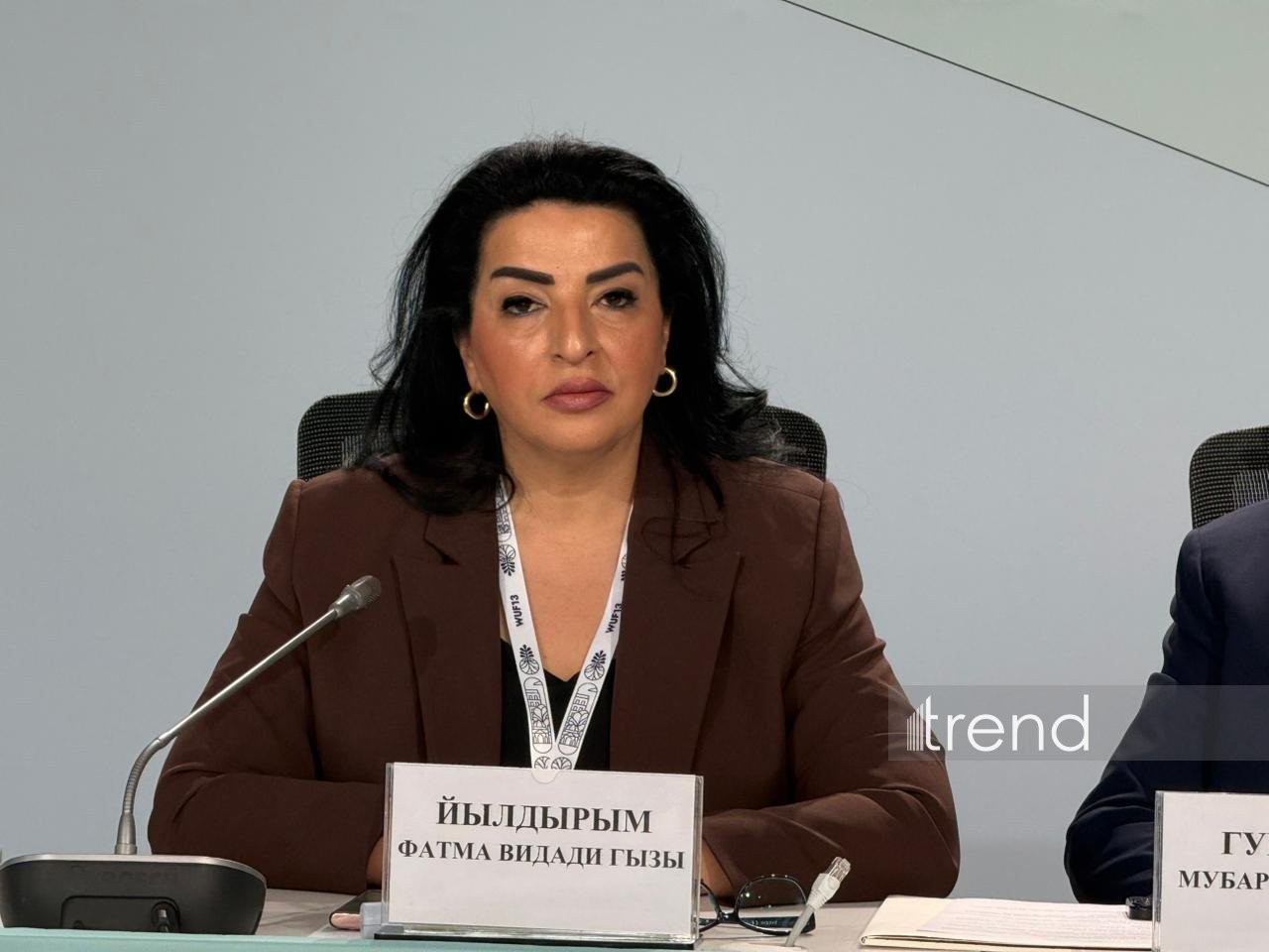 Azerbaijan implements state policy aimed at creating ecologically sustainable cities - MP