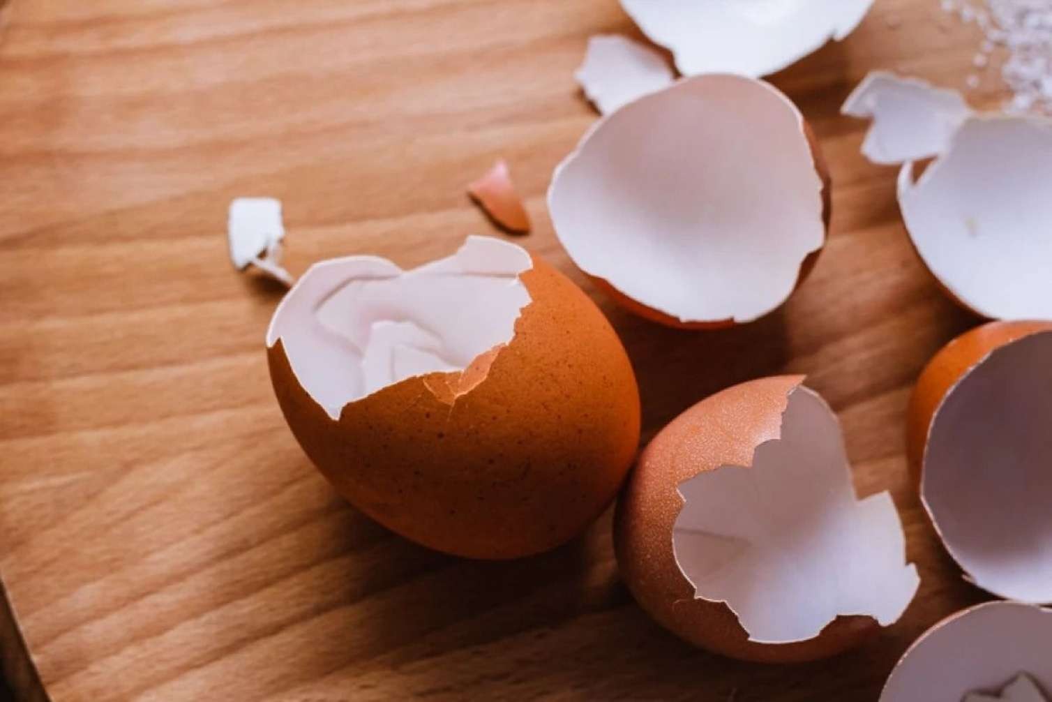 1 qəpiklik yumurtanın içindən görün nə çıxdı -   VİDEO