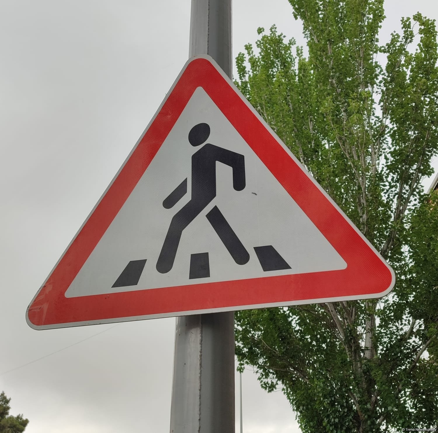 Sabirabadda yol qəzası azyaşlının ölümü ilə nəticələndi
