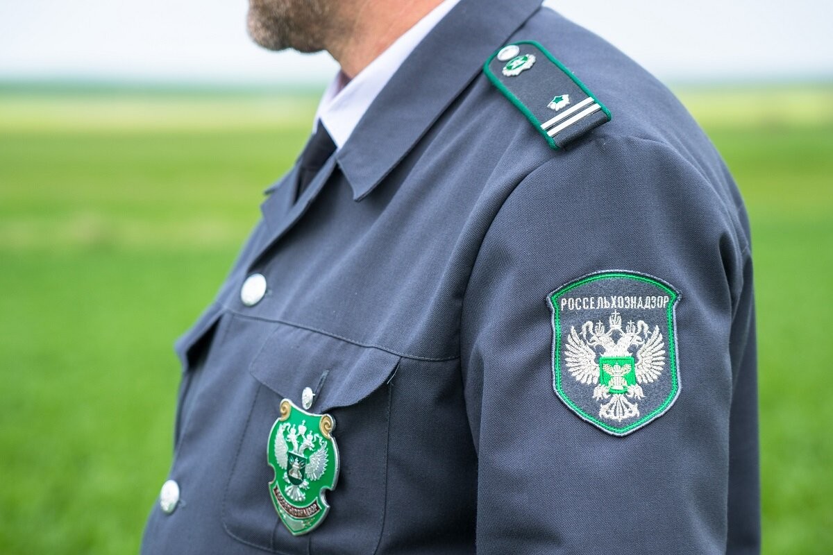 “Rosselxoznadzor” Ermənistanı yoxlayır: Bu məhsulun da Rusiyaya tədarükünə qadağa qoyuldu