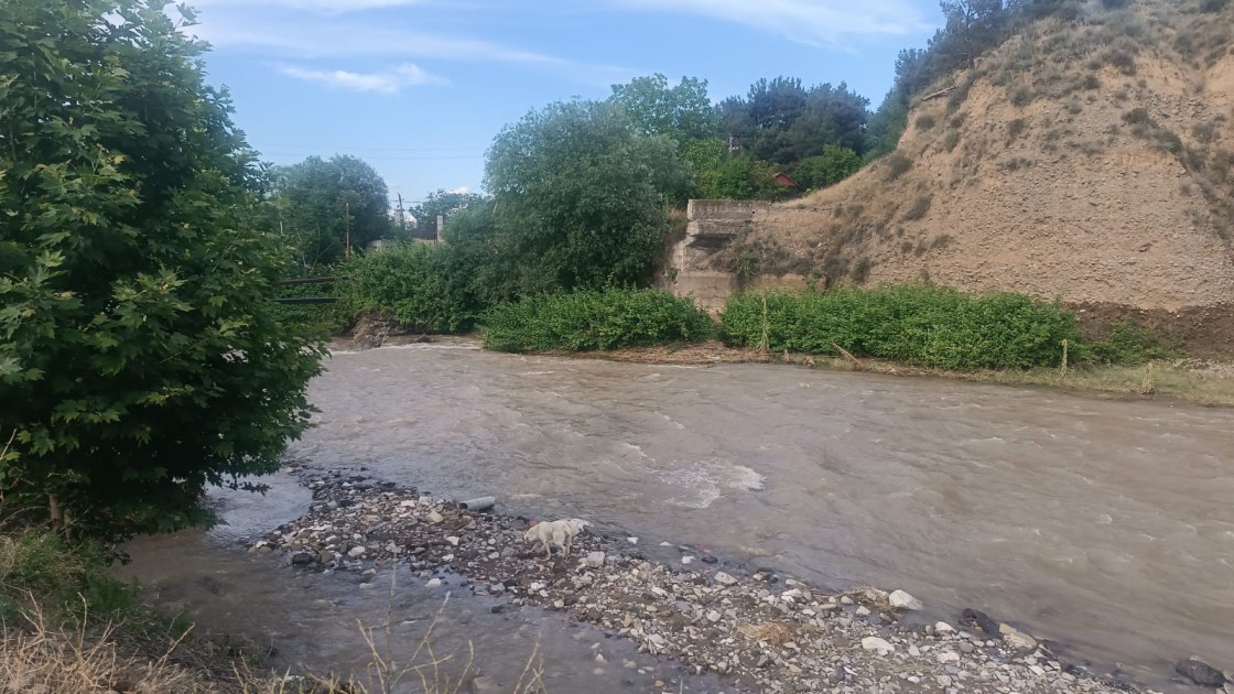 Tovuza qonaq gəldi - Çayda batdı -
