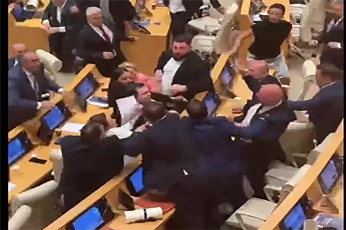 Gürcüstan parlamentinin iclasında DAVA   -
