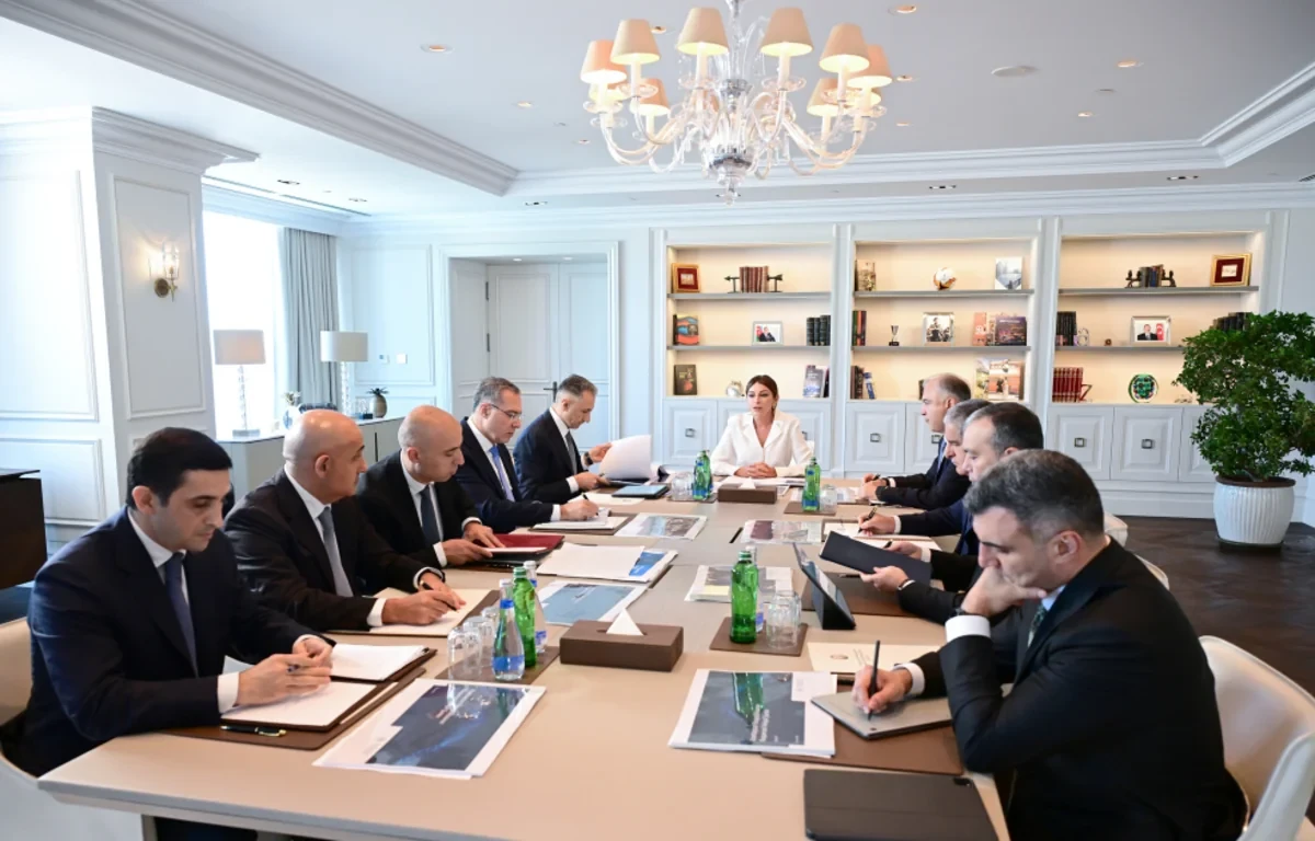Birinci vitse-prezident Mehriban Əliyevanın sədrliyi ilə Rəqəmsal İnkişaf Şurasının ilk iclası keçirilib - FOTO