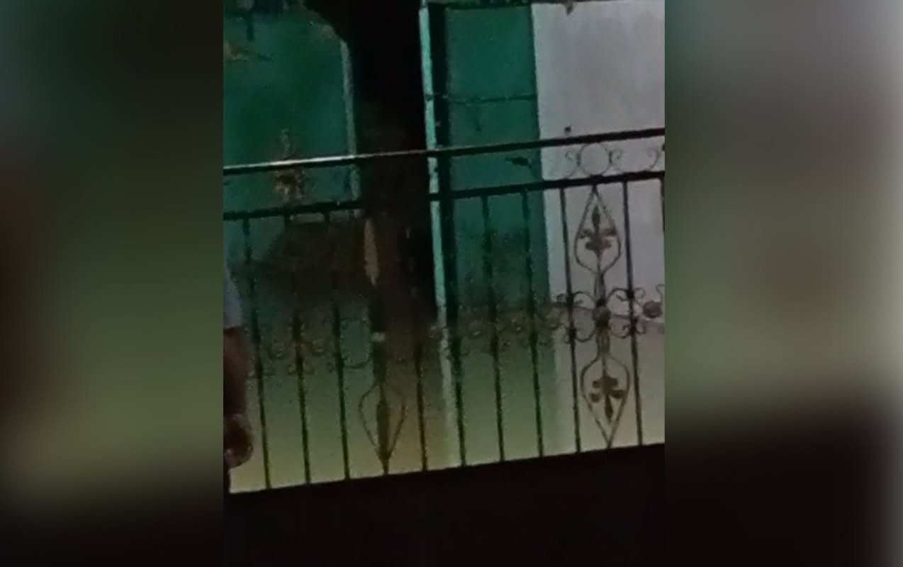 Ağstafada sel suları evlərə doldu –