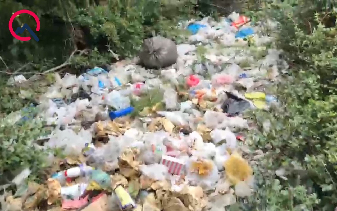 Oğuzda meşəyə insan gəlib... - Video
