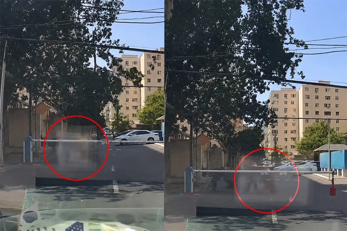 Bakıda sınan ağac budağı qadının üzərinə düşdü -