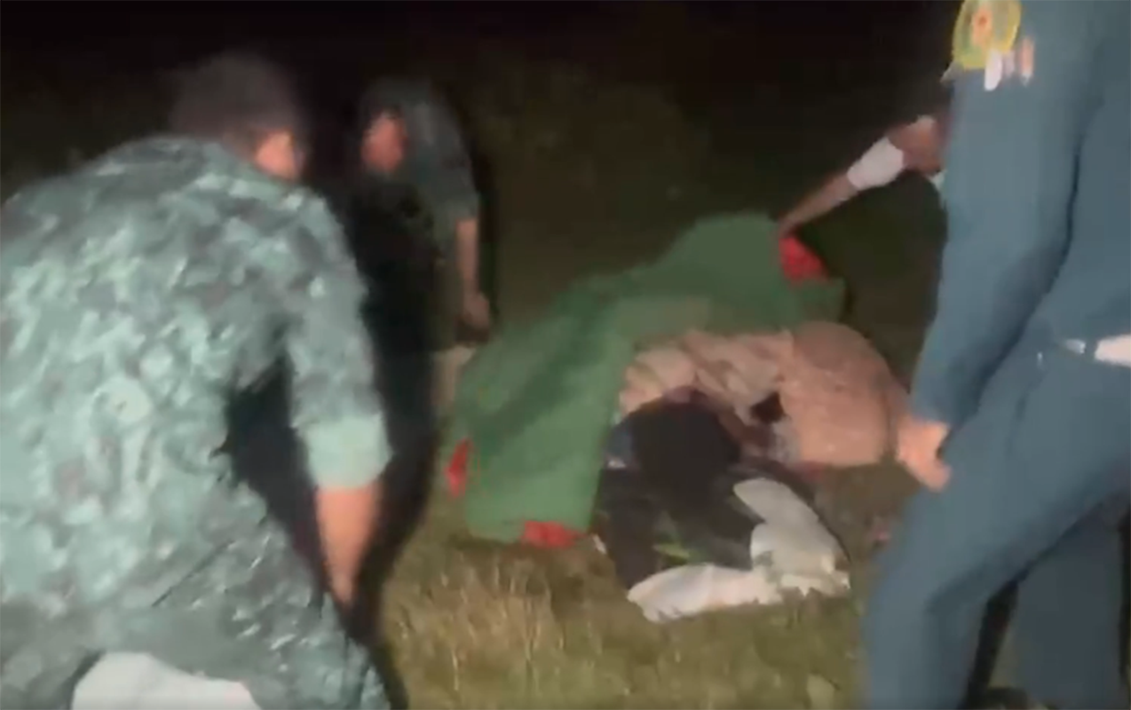 Niderlandlı qadına Şəkidə itlər hücum etdi -