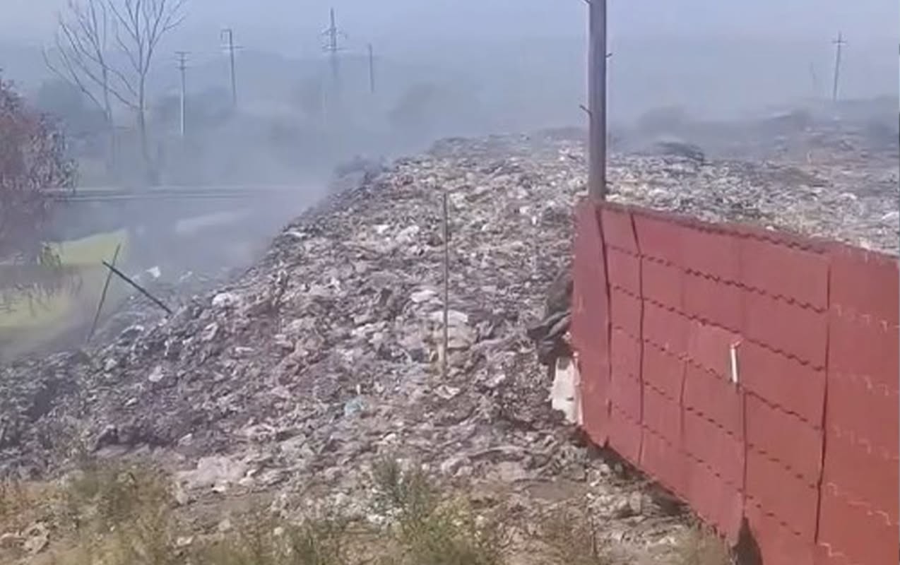 Lənkəranda biabırçı mənzərə - Video