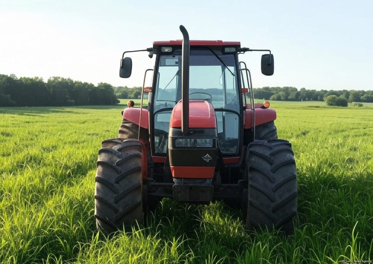 İmişlidə traktor velosipedçini vurub - 5 yaşlı uşaq ölüb