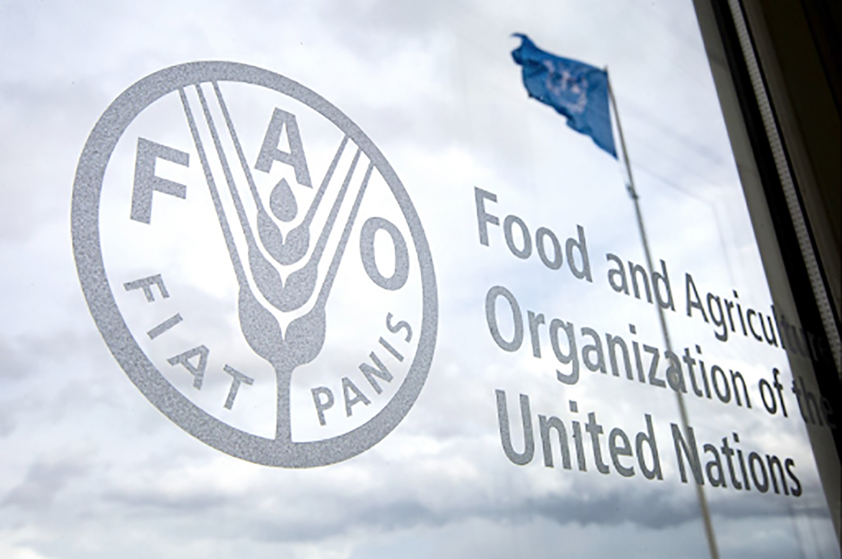 FAO, Turkmenistan sign cattle breeding development agreement