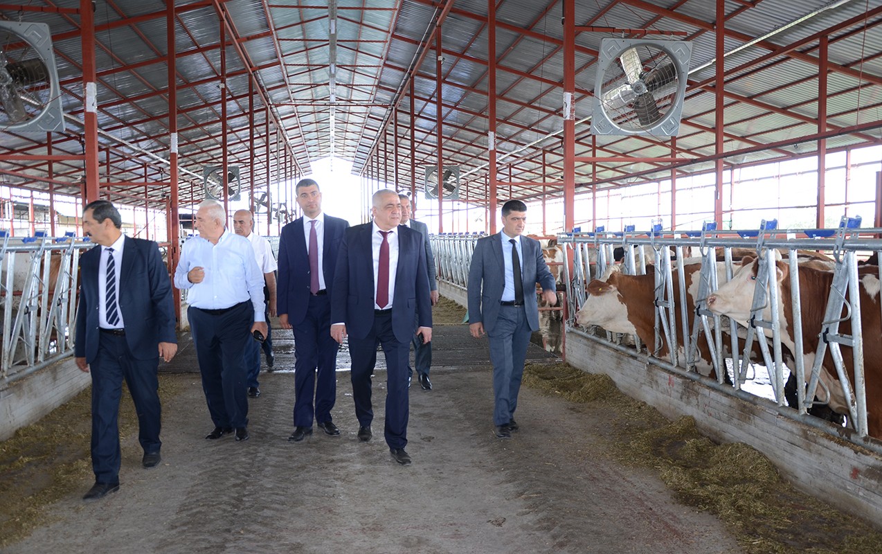 Kürdəmirdə aqroparklarda və iri fermer təsərrüfatlarında monitorinq -