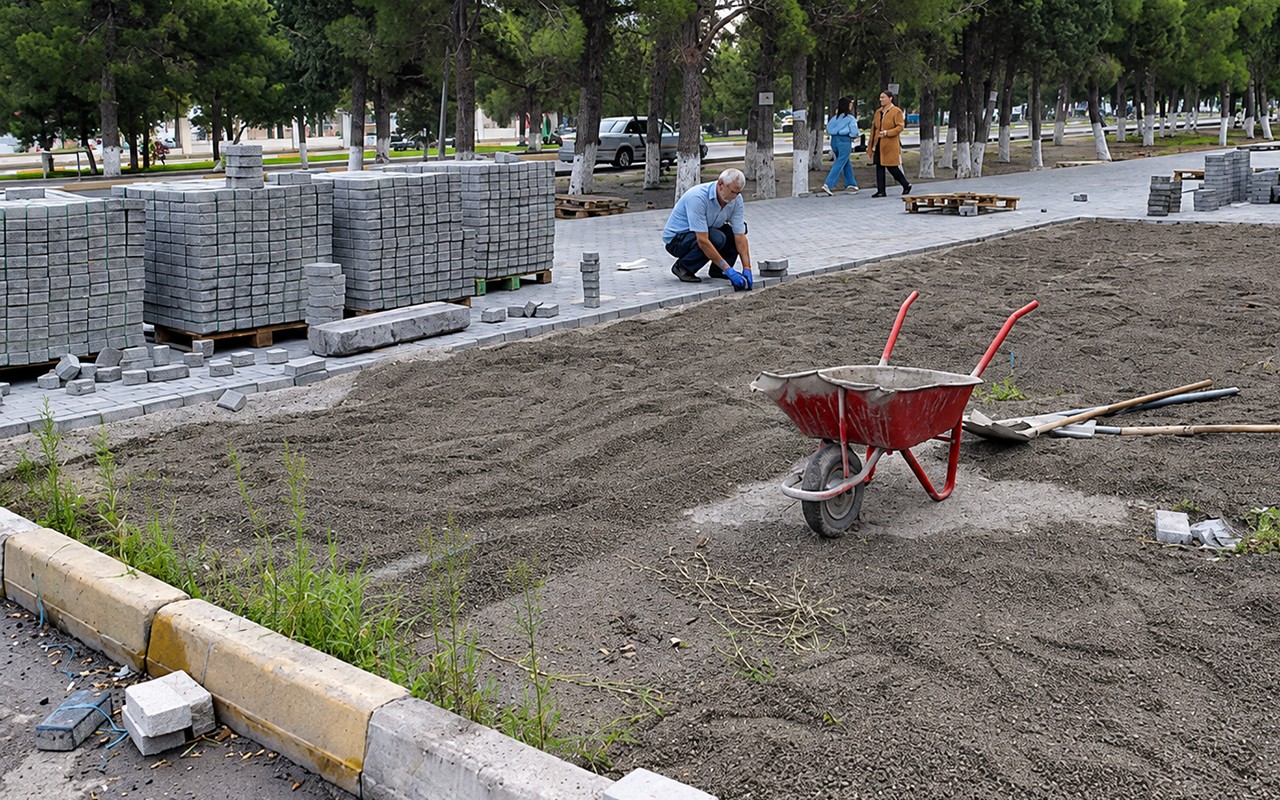 “Qurumlar bu problemi bir-birinin üzərinə atır”