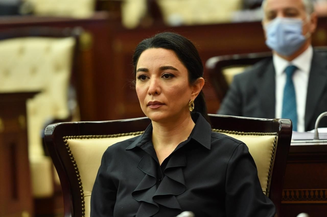 Səbinə Əliyeva: “Ermənistanlı hüquq müdafiəçisinin iddiaları əsassız və qərəzlidir”