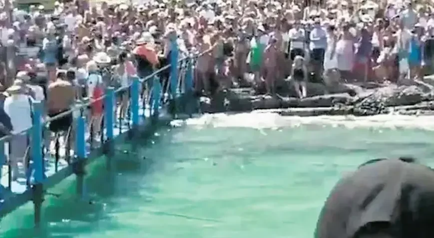 Sosial media paylaşımları turizm xaosu yaratdı: Cənnət cəhənnəmə çevrildi