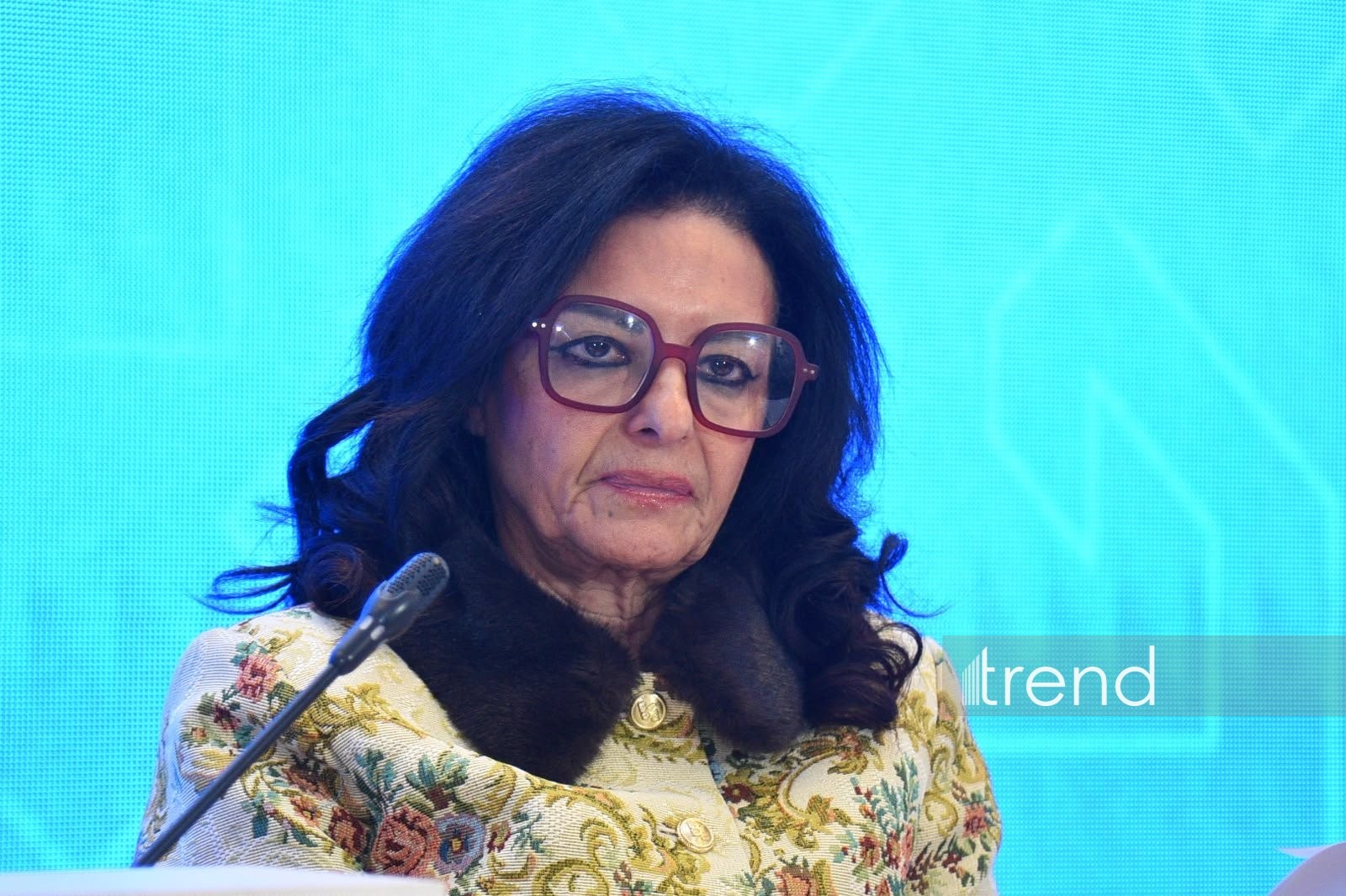 Süni intellekt mədəniyyətlərarası anlaşmanı gücləndirmək üçün təsirli vasitə ola bilər - UNAOC direktoru