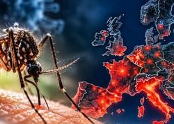 Avropada təhlükəli virus yayılır -