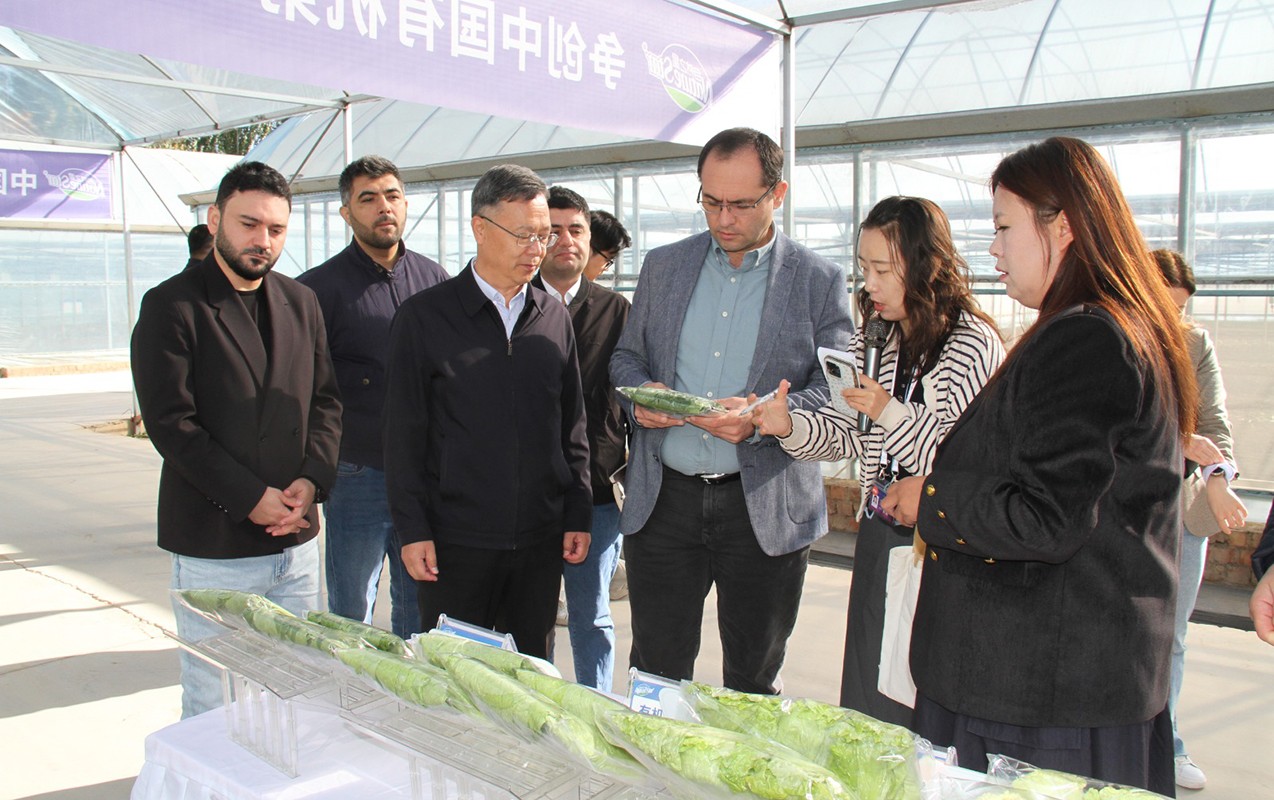 Çində orqanik istehsal və “ağıllı” istixana texnologiyaları öyrənildi -