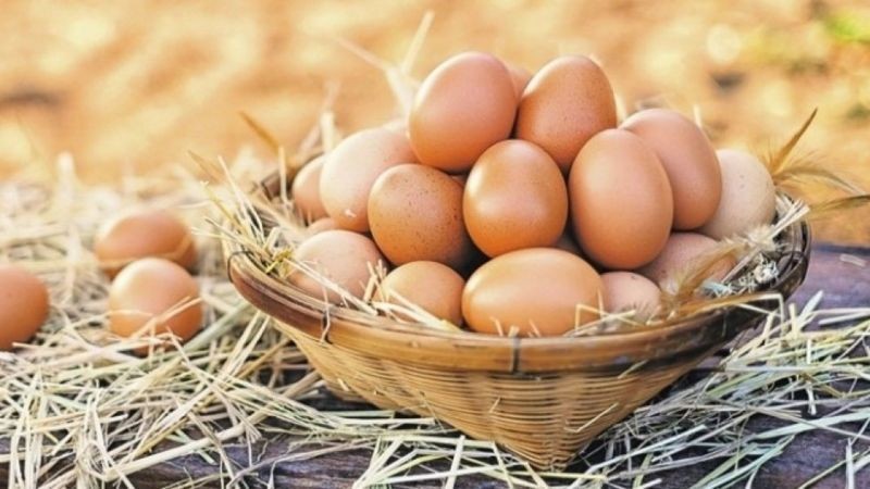 Kənd yumurtasının qiyməti kəskin artdı