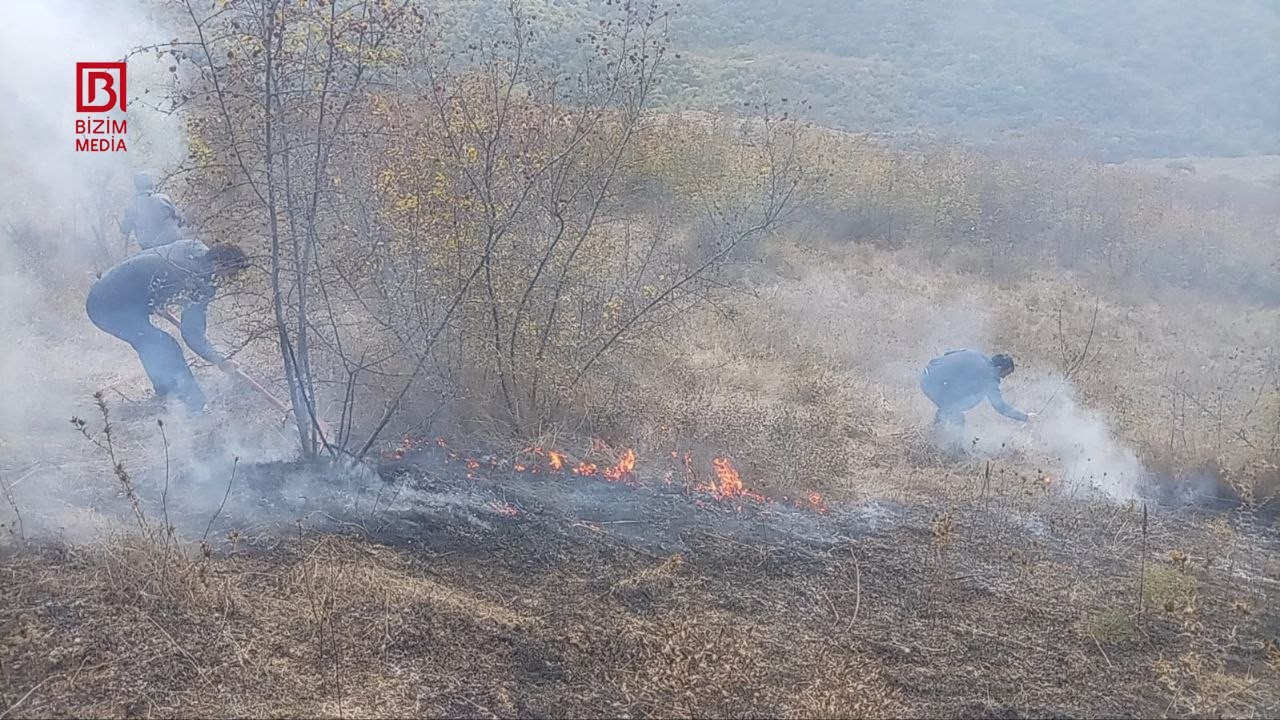 Ağsuda meşəlik ərazidə yanğın –