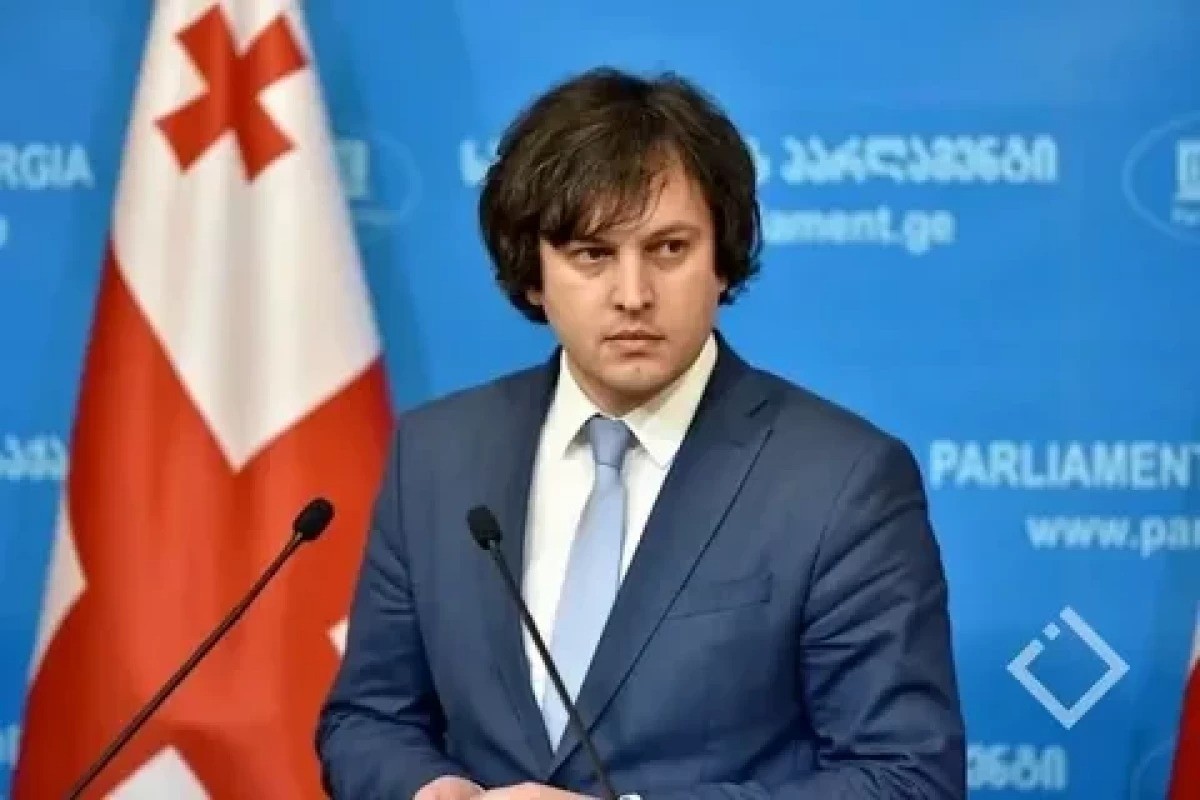 Kobaxidze: Azərbaycanla delimitasiya prosesi dostluq ruhunda davam etdiriləcək