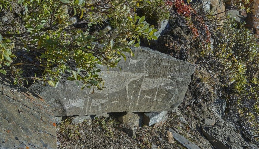 Rusiyada "Qobustan izi" — Yeni qayaüstü kəşf +